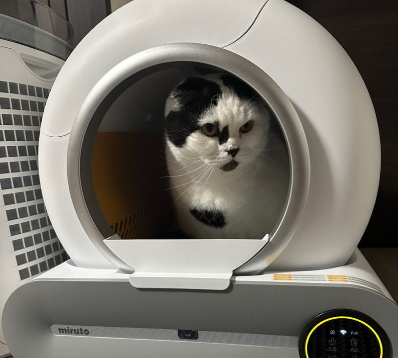 即決 スマートトイレ ミルト 自動猫用トイレ 中古 現状品 ウンチ