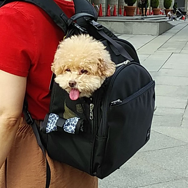 ミスターバックマン｜ペット用キャリーバッグ・キャリーリュック