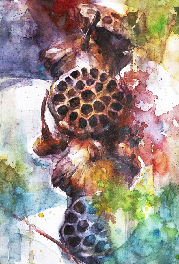 若園千景さん Japan in Acquarello 2025 in 水彩画公募展 in YOKOHAMA