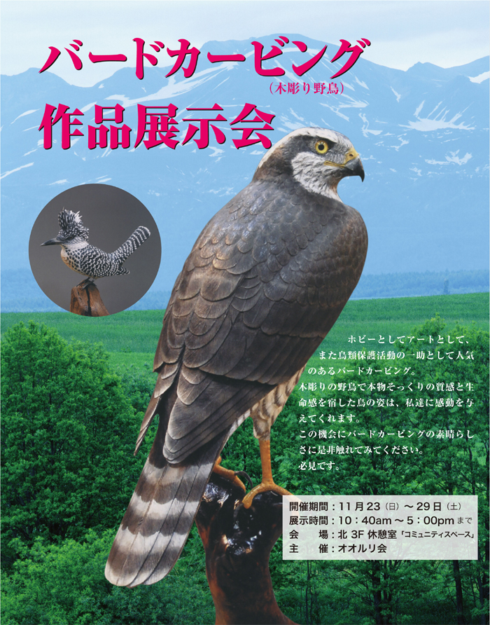 リアルな木製の野鳥 「モズ」 木彫りの野鳥 バードカービング 野鳥彫刻