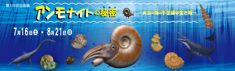 栃木県立博物館 | 企画展