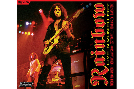 1995年来日公演 レインボー リッチー・ブラックモア ギター ピック 本鼈甲