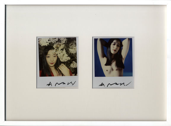 荒木経惟 ポラロイド写真 サイン入 額装 荒木経惟 ポラロイド写真