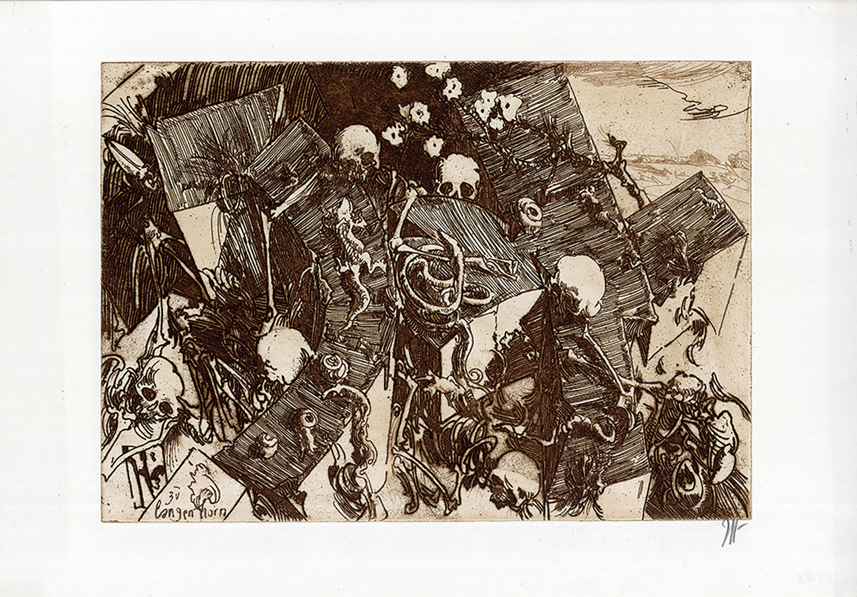 ホルストヤンセン ポスター 額装 C 4316B ホルストヤンセン ポスター