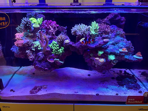 特許登録済み 浮くレイアウト】オリジナルフローティングリーフロック