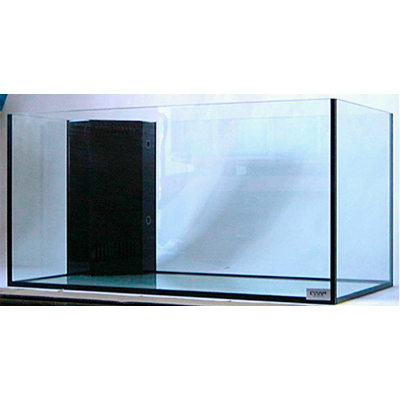 aquafish(7/9プロフ更新)さま専用 aquafish(7/9プロフ更新)さま専用