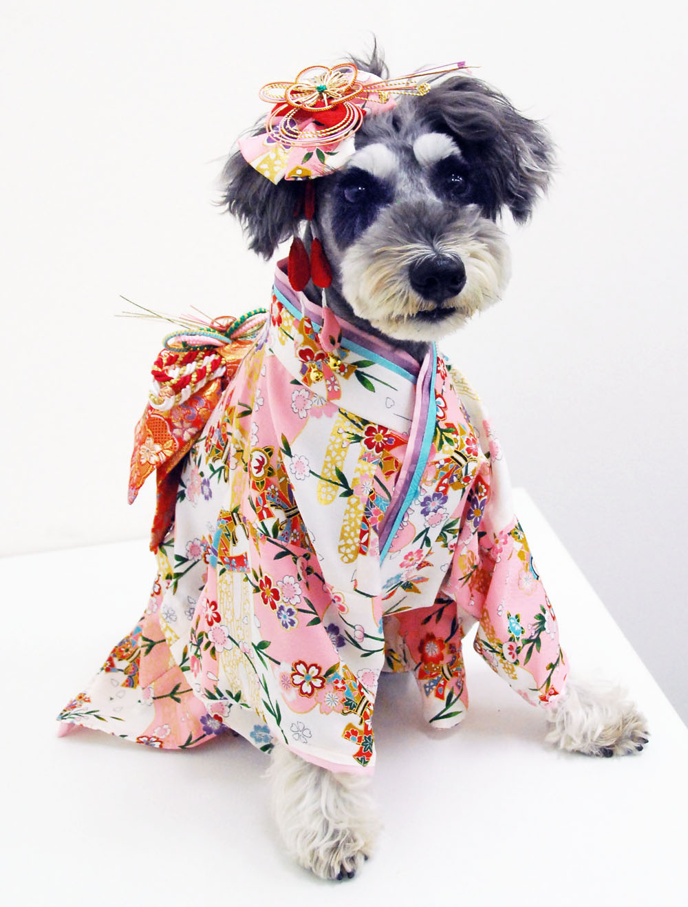 犬 服 代官山Nahomillyの 本格 着物 振袖 －正絹の布地－