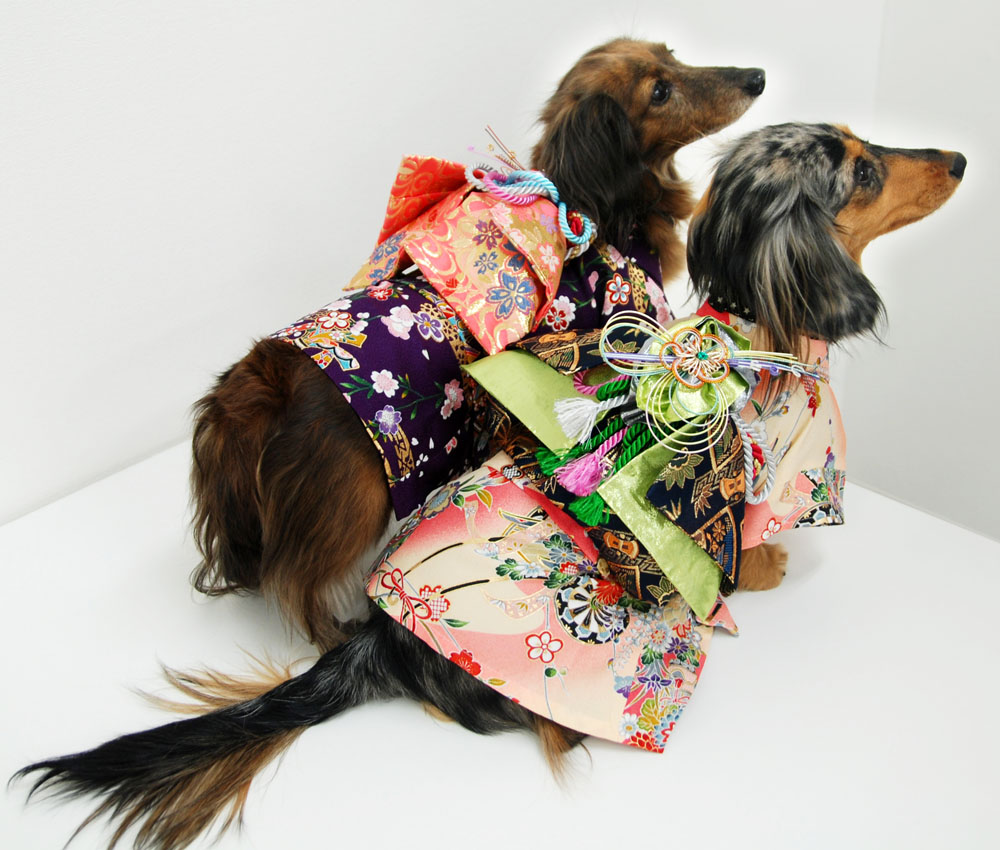 犬 服 代官山Nahomillyの 本格 着物 振袖 －正絹の布地－