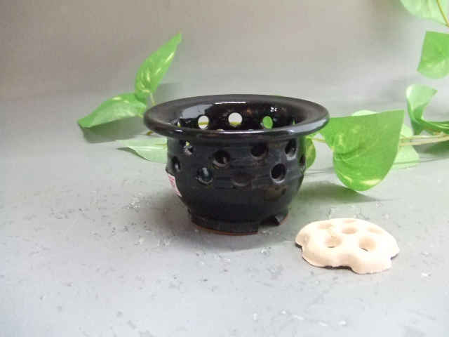 富貴蘭・風蘭植木鉢｜中村陶器 信楽焼の通販サイト （滋賀/陶器/焼き物