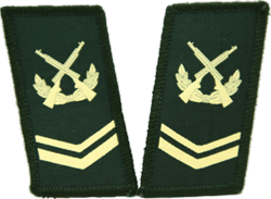 実物 中国人民解放軍軍人手帳 将校用と下士官用 2個セット 実物