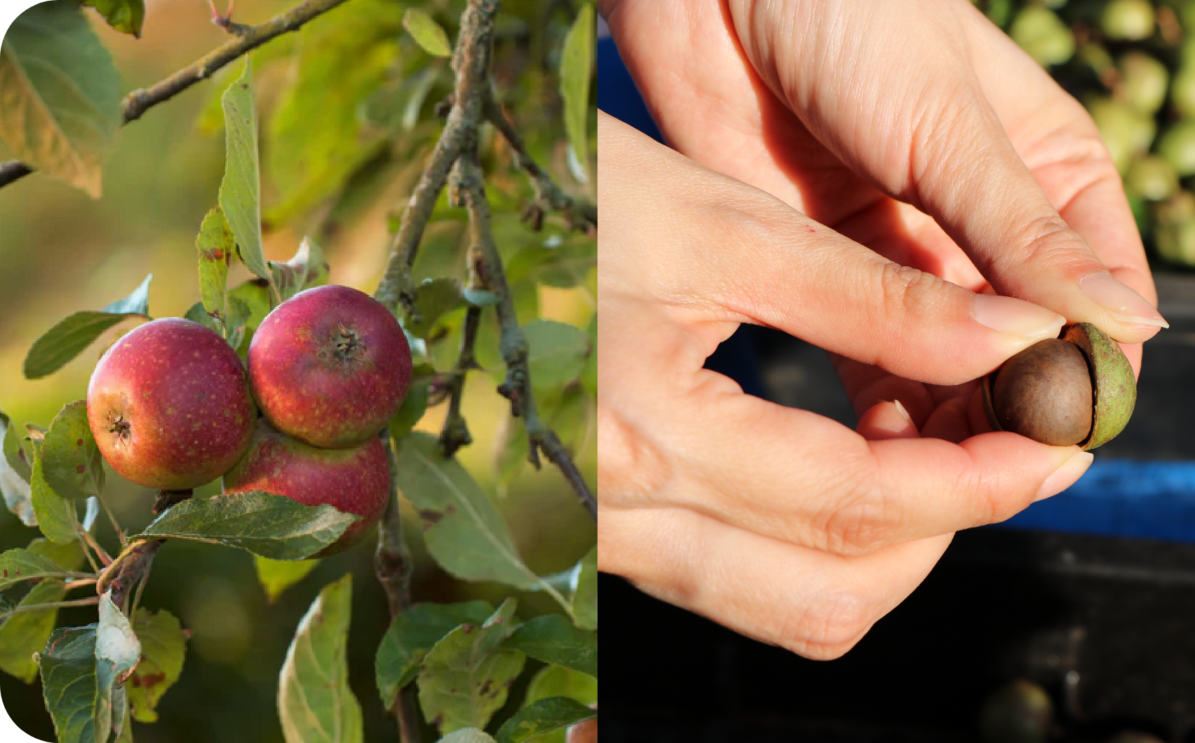 ひとつひとつ｜株式会社nakato
