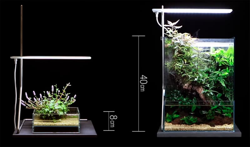 ADA SOL STAND RGB ソルスタンド ① ADA SOL STAND RGB ソルスタンド