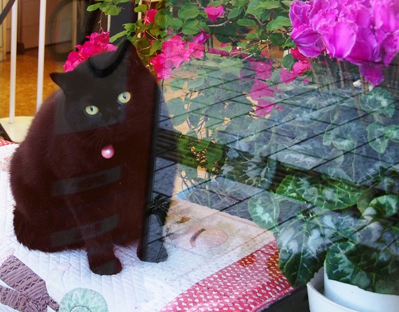 黒猫モモ ページ 黒猫モモ / KURONEKO MOMO