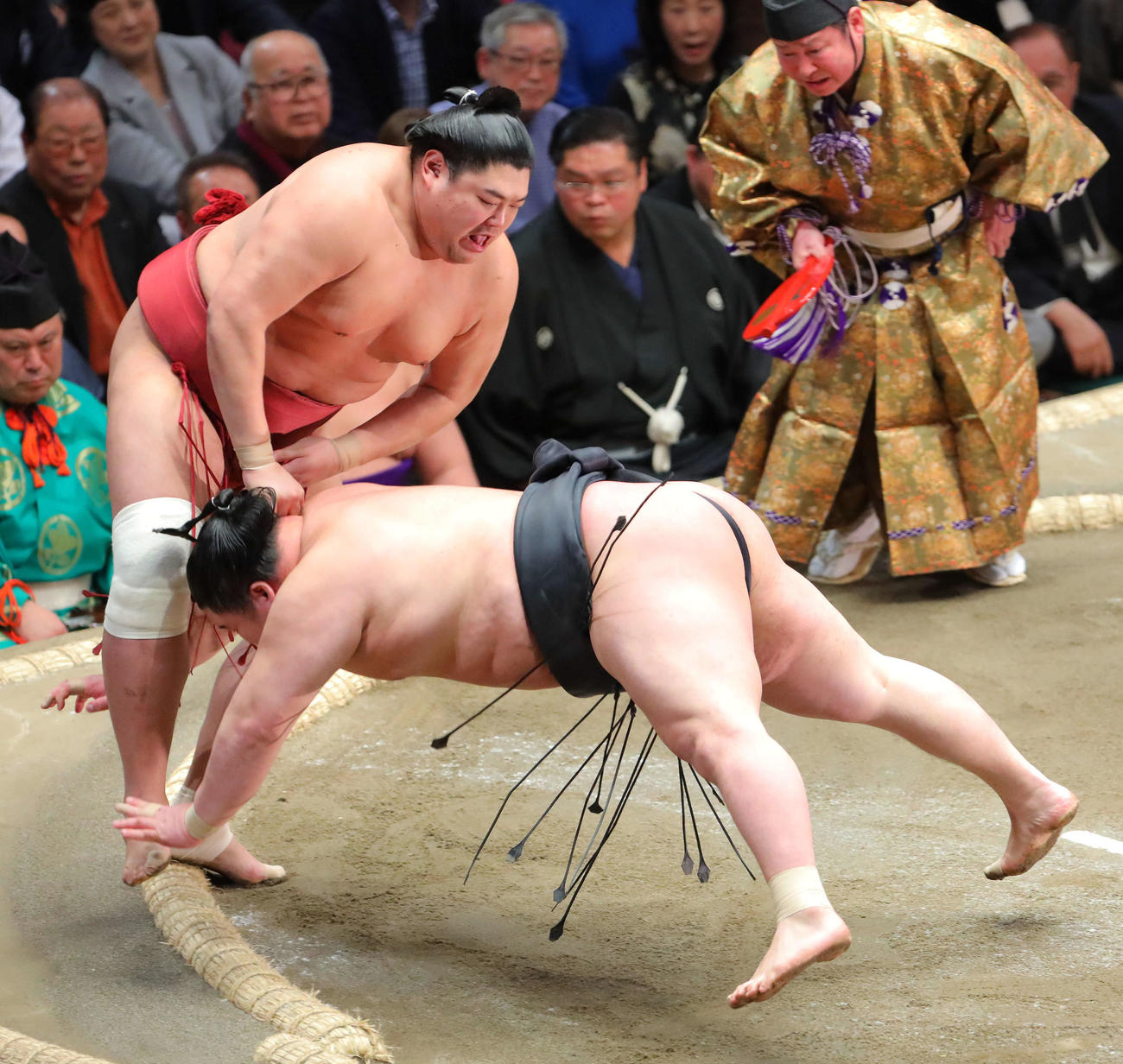 式守伊之助 書画 昭和 相撲 20250716-OYT1I50158-1.jpg?type=ogp