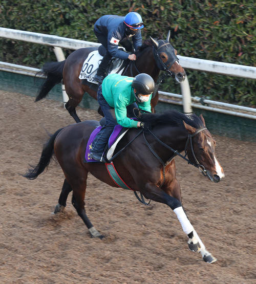 サイン入りゼッケン 競馬 ピクシーナイト母ピクシーホロウ 超レア