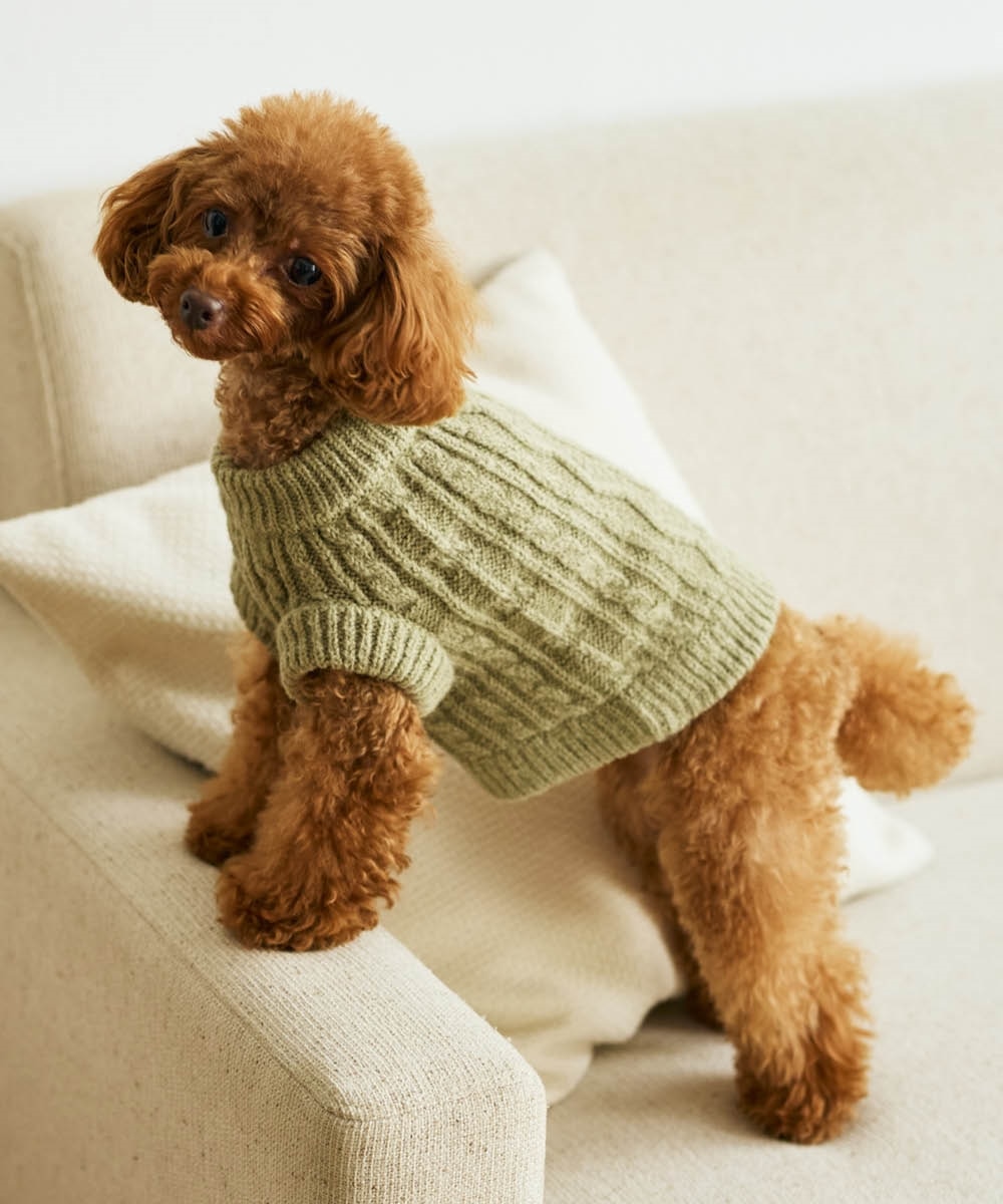 ペットとおそろ ケーブル編ニットペットウェア 通販【ニッセン】