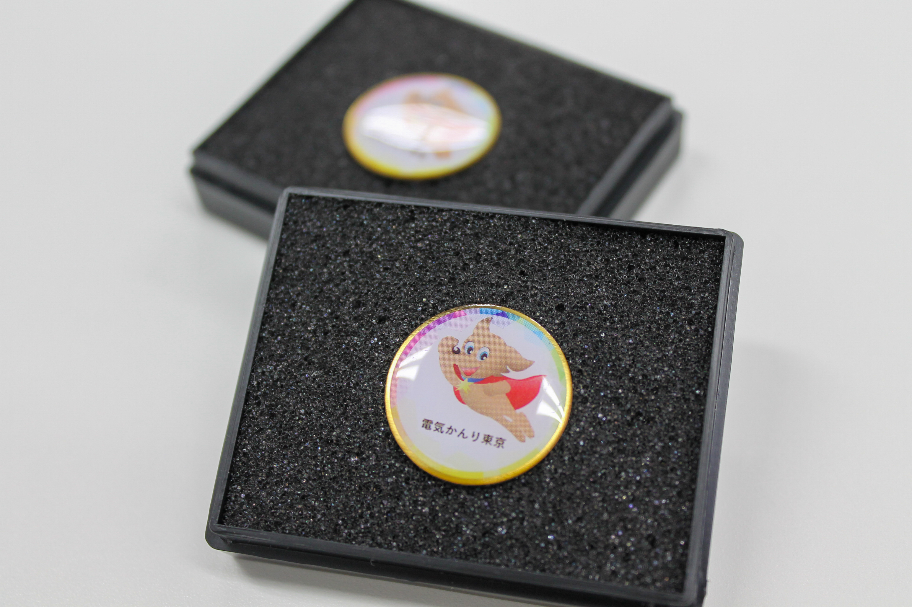 ピンバッジ｜実績紹介｜日本印刷(NPC)