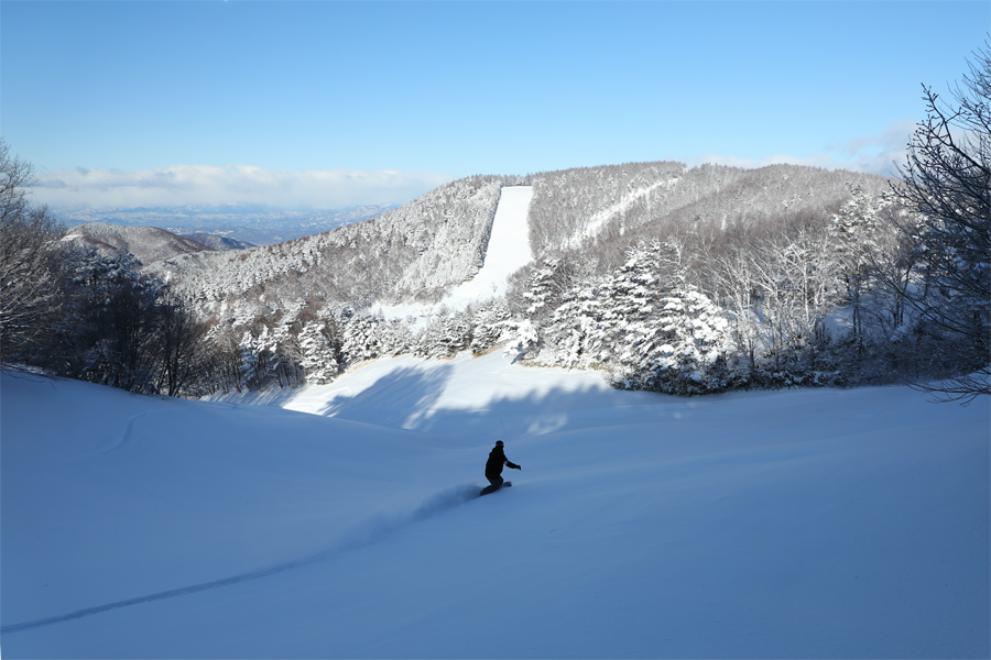 ニンジャスノーハイランド 140cm / 晴 | Snownavi - スノーナビ