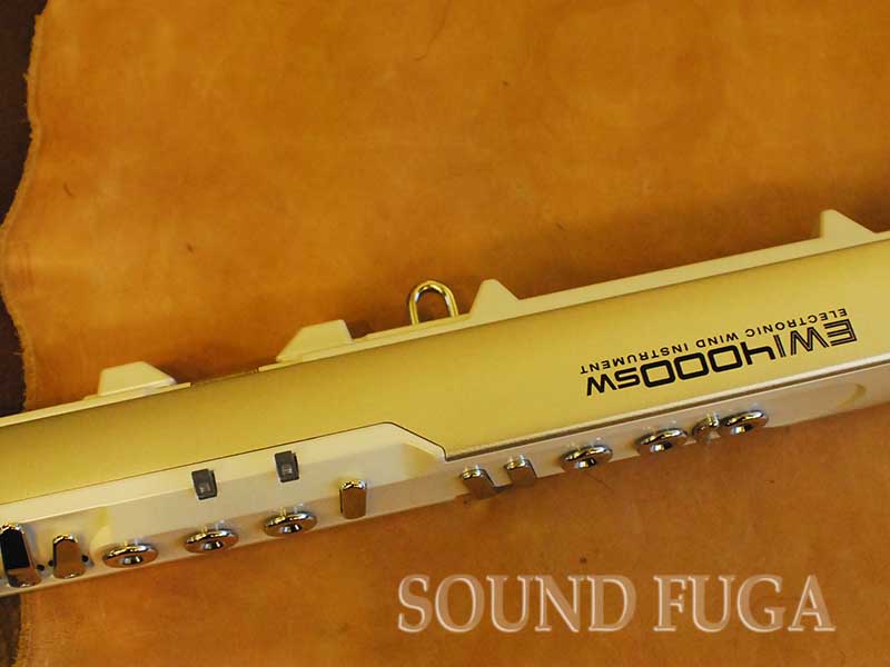 AKAI EWI-4000S ウインド・シンセサイザー