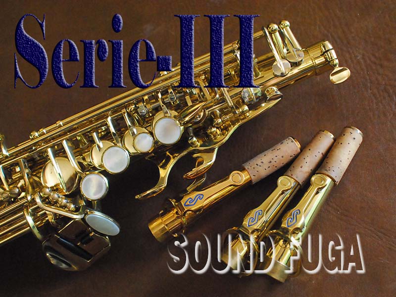 H.SELMER SERIE-III 68万番 彫刻付 GPカーブドネック付 SOPRANO