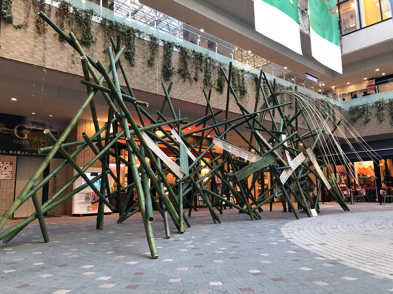 希少 樹齢150〜200年 杉枝 約126cm 鑑賞 庭 インテリア 骨董 華道 希少