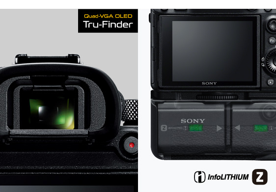 SONY α7RIII ILCE-7RM3 シャッター29414回 SONY α7R III ILCE-7RM3