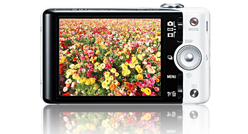 SONY サイバーショット DSC-WX100 デジカメ 動作確認済 DSC-WX100