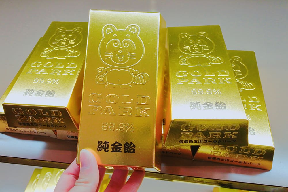 不器用でも必ず「金」が採れる？！西三川で砂金採り体験！！ | 佐渡