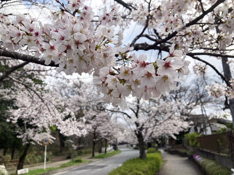 page00000170item00005343.jpg?