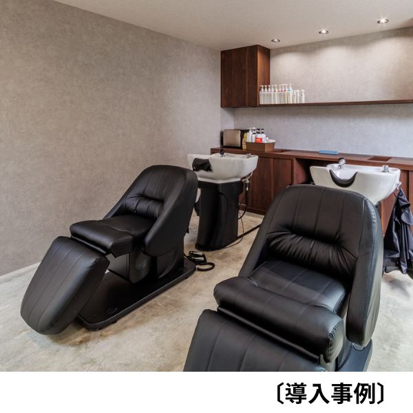 電動シャンプーユニット Rickman（リックマン） ブラック FV-7888