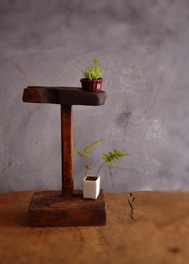 Antique Sam's Collectionアンティーク燭台 李朝 韓国アンティーク