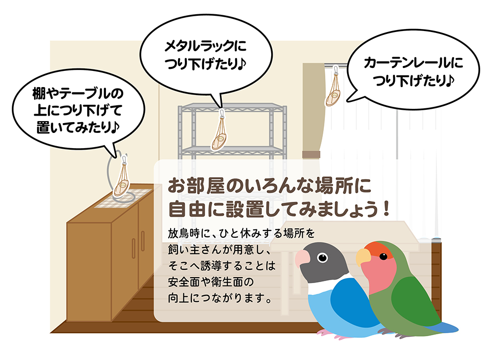 やよい✱】ことりのおおきなあそびば やよい✱】ことりのおおきな