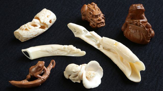 ○石見根付 ○蜘蛛 ○猪牙 古牙 獣牙 時代物 骨董 いのしし ○石見根付