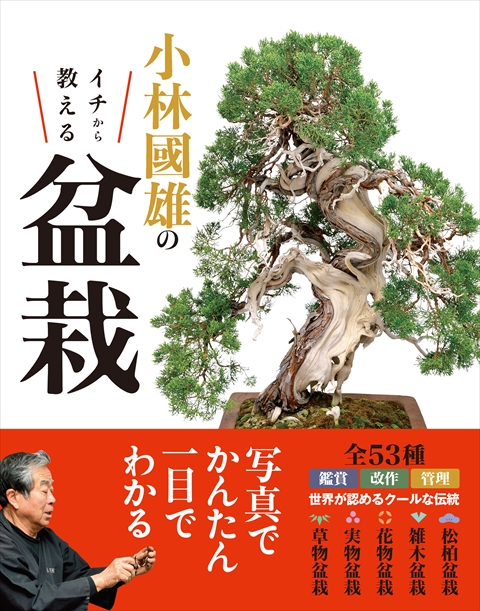 盆栽芸術 天地人 3冊セット 小林國雄 盆栽芸術-天: 小林國雄の世界