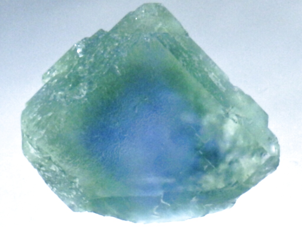 湖南省産放射線処理フローライトA - セルフクリエイション