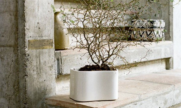 リーヒティエ プラントポットS / TypeAArtek（アルテック） | 公式通販