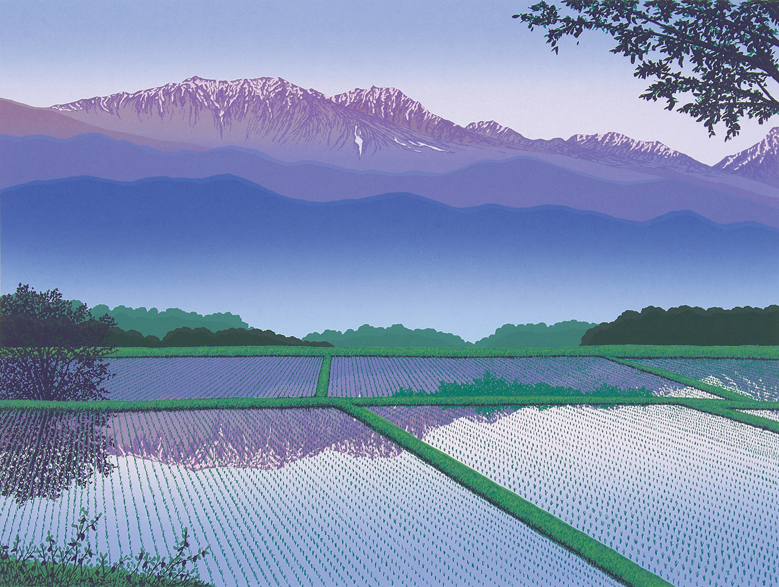 ショップ - 8ページ目 (30ページ中) - 版画家 小暮真望