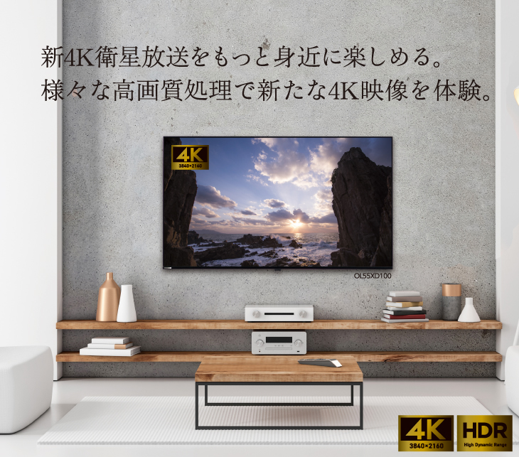 4Kチューナー内蔵液晶テレビ＜ORION＞OL40XD100 2019年製 オリオン