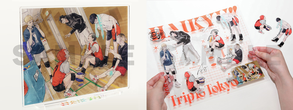 ジャンプGIGA 限定誌上通販 ハイキュー!! 缶バッジ6種 × 5セット