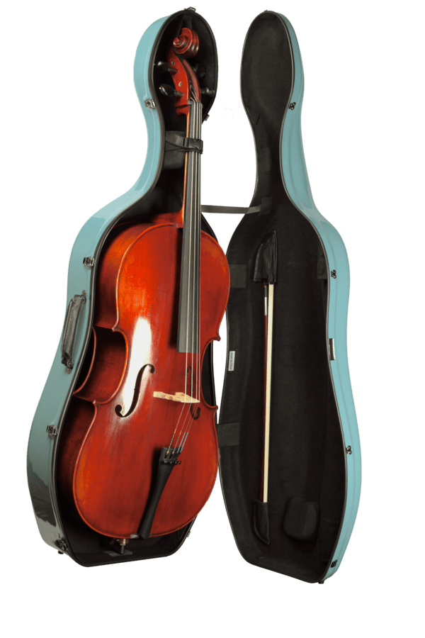 イーストマンチェロケース：弦楽器：ケース：イーストマン（Eastman