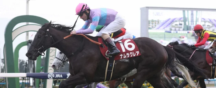 第110回 ネーハイシーザー 天皇賞秋 馬券 天皇賞(秋) レース結果 |