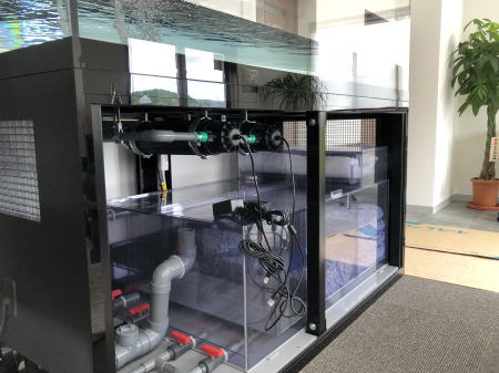 岡山県美咲町 T 様 1800×900×800 大型アクリル水槽設備