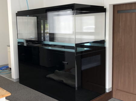 岡山県美咲町 T 様 1800×900×800 大型アクリル水槽設備