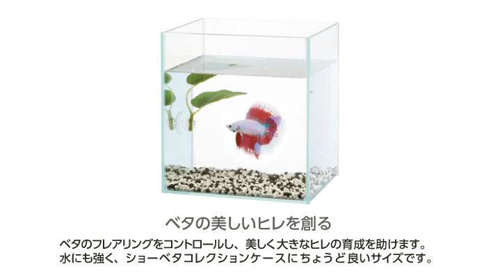ショーベタコレクションケース ｜ 魚づくりは水作り｜水作株式会社