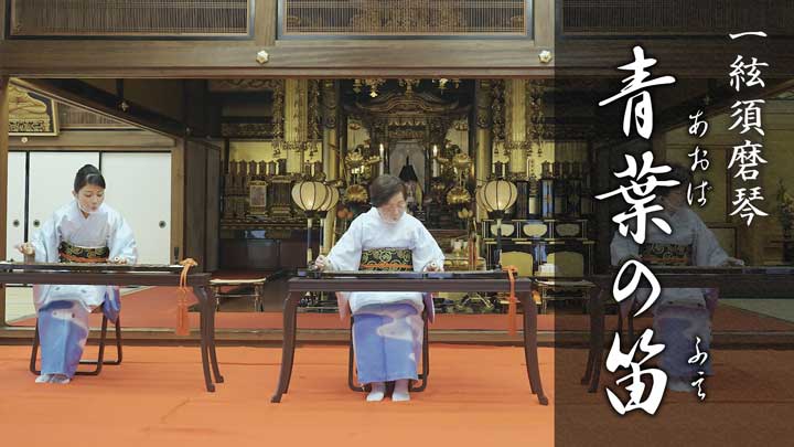 琴の演奏｜一絃琴 須磨琴