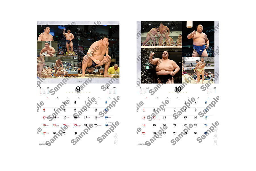10部セット】大相撲 壁掛けカレンダー 2026 令和8年 日本相撲協会 10部