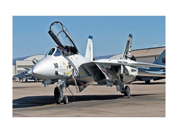 航空機・ヘリコプター Gulliver200 1/200 F-14 VF-143 PUKIN'DOGS F