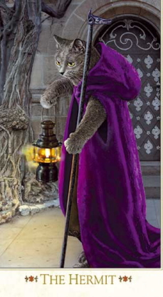 タロットカード BAROQUE BOHEMIAN CATS'TAROT 3RD EDITION バロック