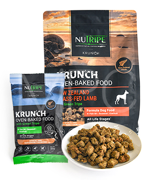 アカナ DOG シニアドッグレシピ 2kg | プレミアムドッグフード専門店