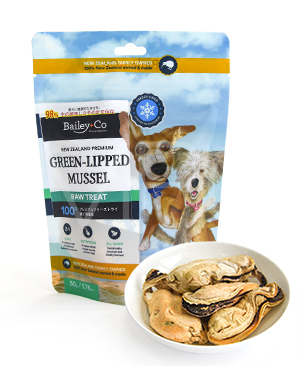 Bailey+Co (ベイリーコー) | プレミアムドッグフード専門店・通販